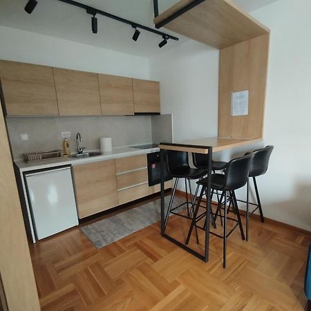 Cvetkovic Lux Аpartmani & Free Garaza Apartment Vrnjacka Banja Bilik gambar