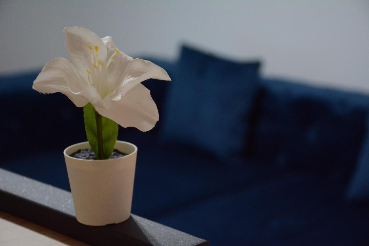 Cvetkovic Lux Аpartmani & Free Garaza Apartment Vrnjacka Banja Luaran gambar