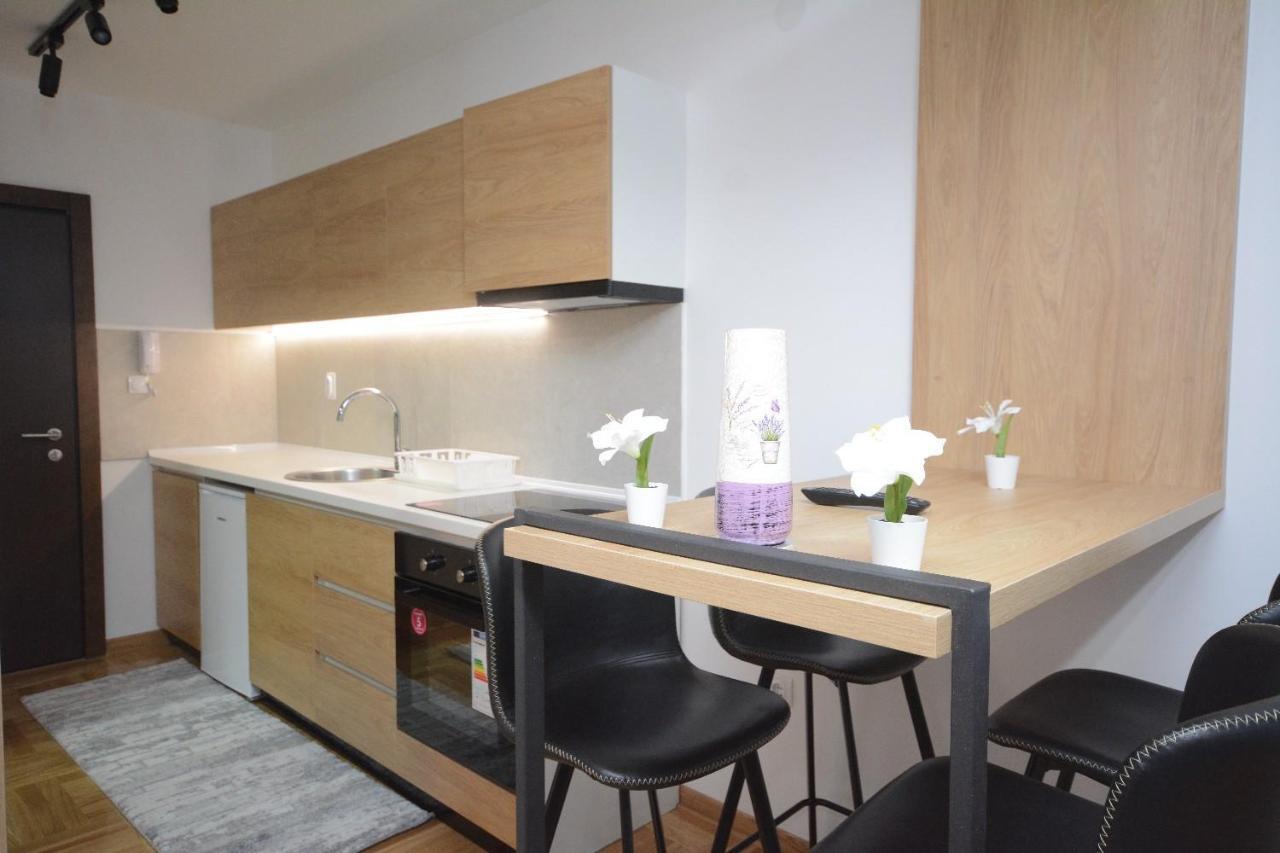 Cvetkovic Lux Аpartmani & Free Garaza Apartment Vrnjacka Banja Luaran gambar