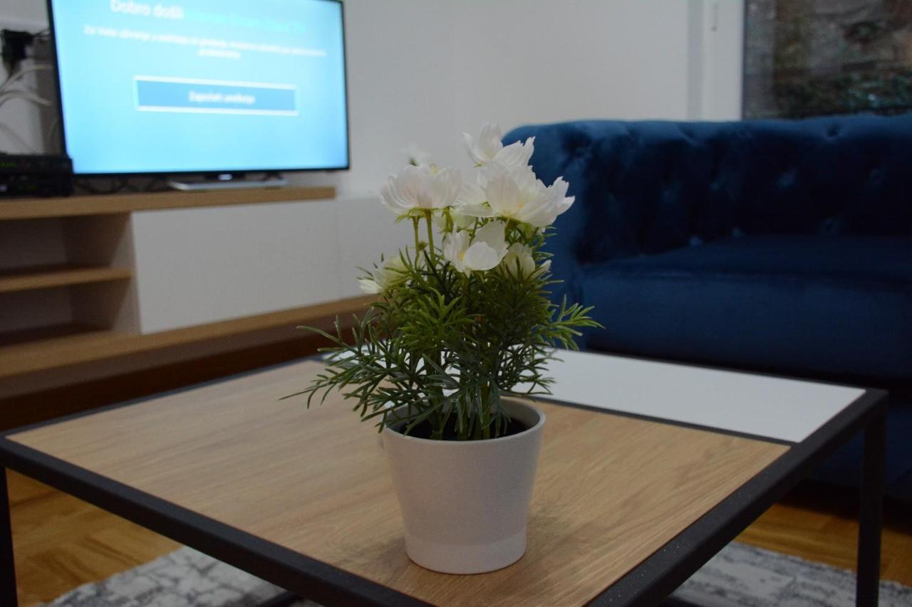 Cvetkovic Lux Аpartmani & Free Garaza Apartment Vrnjacka Banja Luaran gambar
